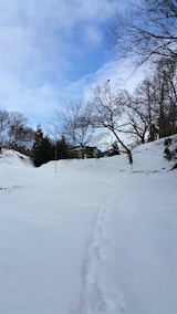 20160124٥Ȫؤȸޤʺƻͻ