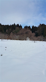 20160124٥Ȫ1