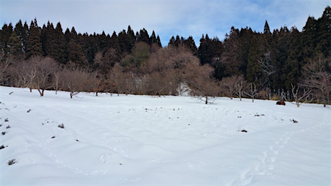 20160124٥Ȫͻ1
