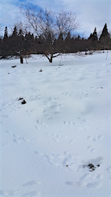 20160124٥Ȫ2