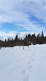 20160124ͻ­3