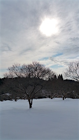 20160124ͻҲߤ