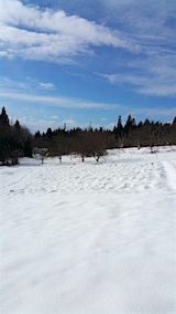 20160124٥Ȫ3