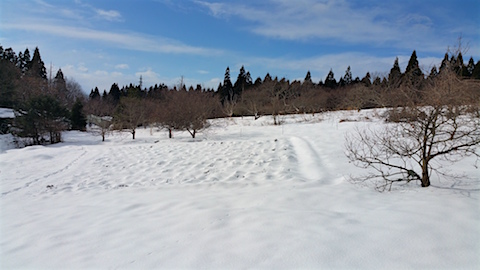 20160124٥Ȫͻ3