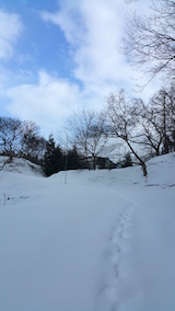 20160125٥Ȫؤ³ޤʺƻͻ