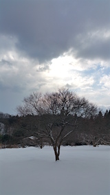 20160125ͻҲߤ1