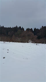 20160125٥Ȫ