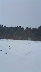 20160125٥Ȫ1