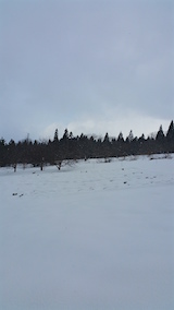 20160125٥Ȫ2