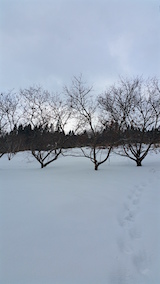 20160125Ȫͻ2
