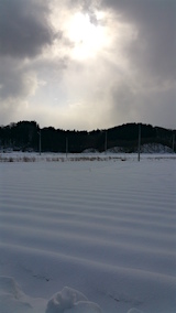 20160125ͻ