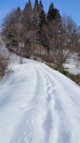 20160207٥Ȫؤ³ޤʺƻͻ1