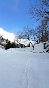 20160207٥Ȫؤ³ޤʺƻͻ2
