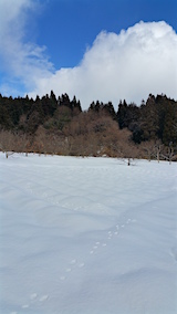 20160207٥Ȫ1