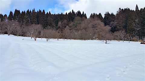 20160207٥Ȫͻ1