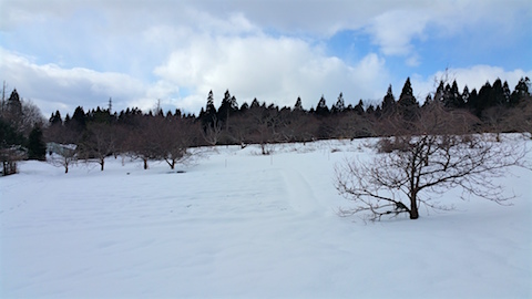 20160207٥Ȫͻ2