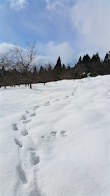 20160207ͻ­