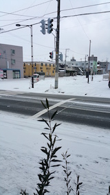 20160225外の様子朝1