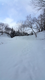 20160225ラベンダーの畑へと続く急な坂道の様子