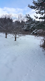 20160225ラベンダー畑の入り口の様子