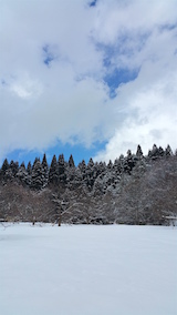 20160225山の様子1