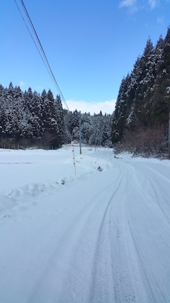 20160225山からの帰り道の様子峠道