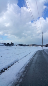 20160225山からの帰り道の様子田んぼ