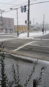 20160225外の様子昼過ぎ雪降り出す