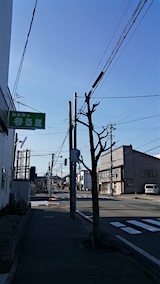 20160321�����ͻ�ī1