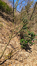 20160321��ߤ��ȤĤФ�