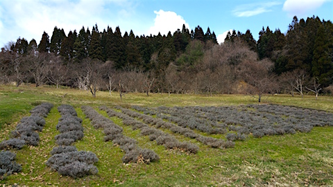 20160321��٥����Ȫ���ͻ�1