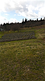 20160321��٥������Ȫ3