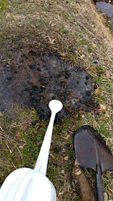 20160321���پƤ�2