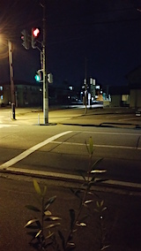 20160321�����ͻ���ΤϤ��Ả