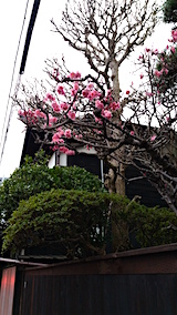 20160408̤ββ