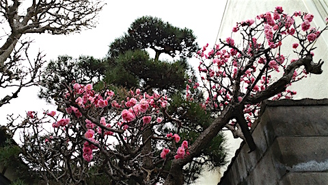 20160408̤β
