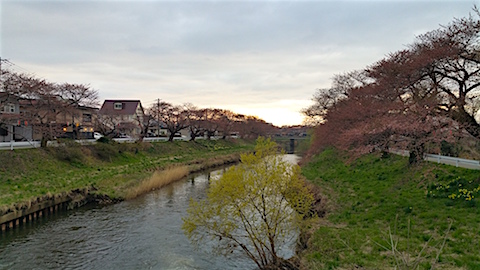 20160414ɴжʿ褤κ˾1