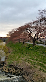 20160414ɴжʿ褤κ˾3