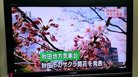 20160414鳫ȯɽΥ˥塼