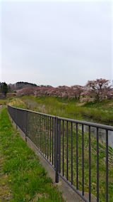 20160418ʿ褤κ綶ή