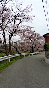 20160418ʿ褤κβή1