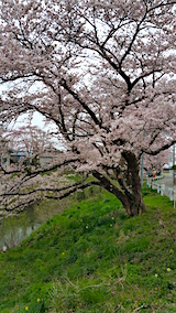 20160418ʿ褤κβή2