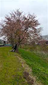20160418ʿ褤κӿή