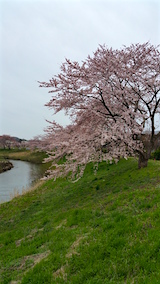 20160418ʿ褤κӿ粼ή1