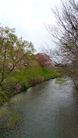 20160418ʿ褤κή