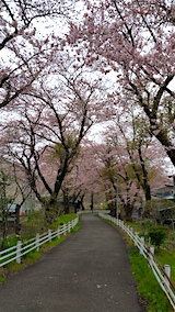 20160418ʿ褤κ껳ϩ2