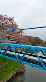 20160418ʿ褤κɴжή1