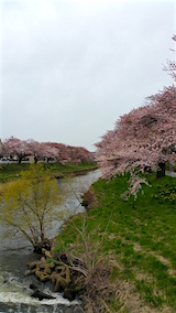 20160418ʿ褤κɴжή1