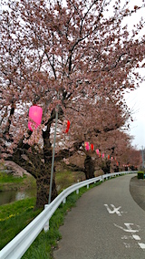 20160418ʿ褤κɴжʿѺ