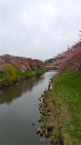 20160418ʿ褤κ沼ή1